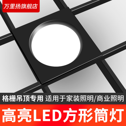 led格栅灯15x15铝网格吊顶双头10*20黑色葡萄架射灯方形筒灯单头