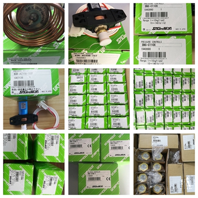 议价SEV-502BXF 1004BXF 1205 1506DXF AC24V 220V电磁阀NBV