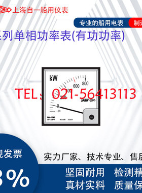 自一Q72-WMC Q96-WMC Q72-WMCZ Q96-WTCZA有功功率单相功率表Q144