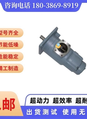 东京计器双联泵SQP43-38/42/50/60/66-32-1/86AABBCC DD-18液压泵