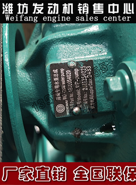 潍坊226B道依茨WP6柴油发动机船用发电机组1000054020水泵