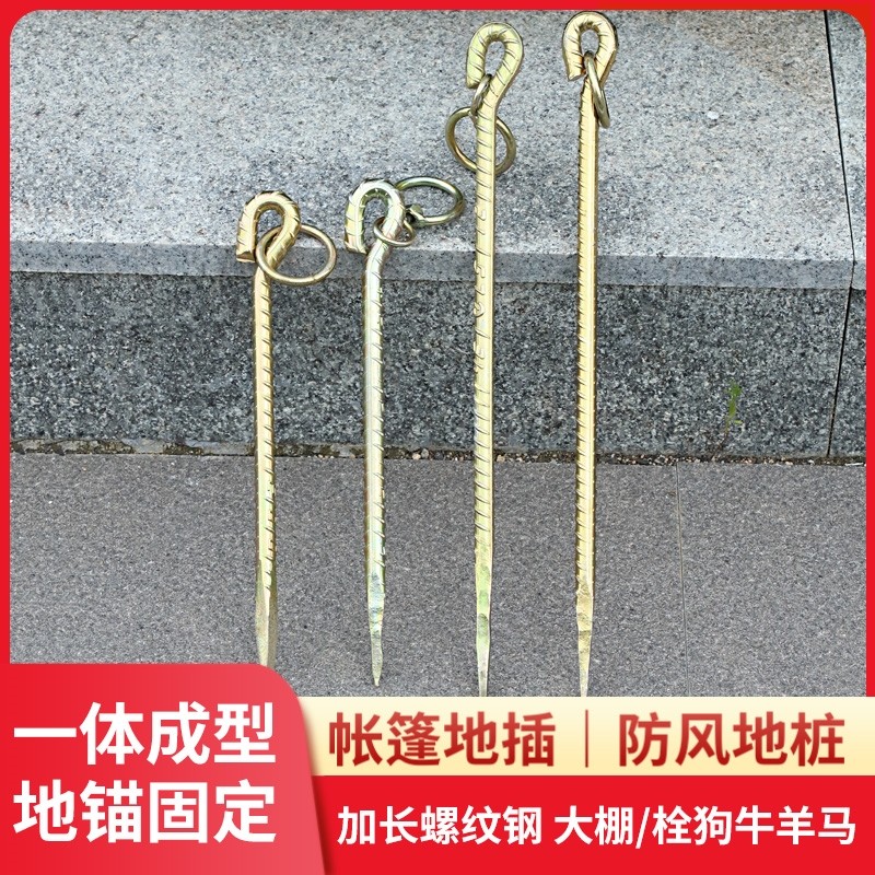 地栓地钉地桩钉地锚钉螺纹户外帐篷地钉拴牛羊马狗大棚钉大钢钉,农机/农具/农膜,灌溉工具,淘宝优惠券,粉丝福利购,淘宝优惠卷