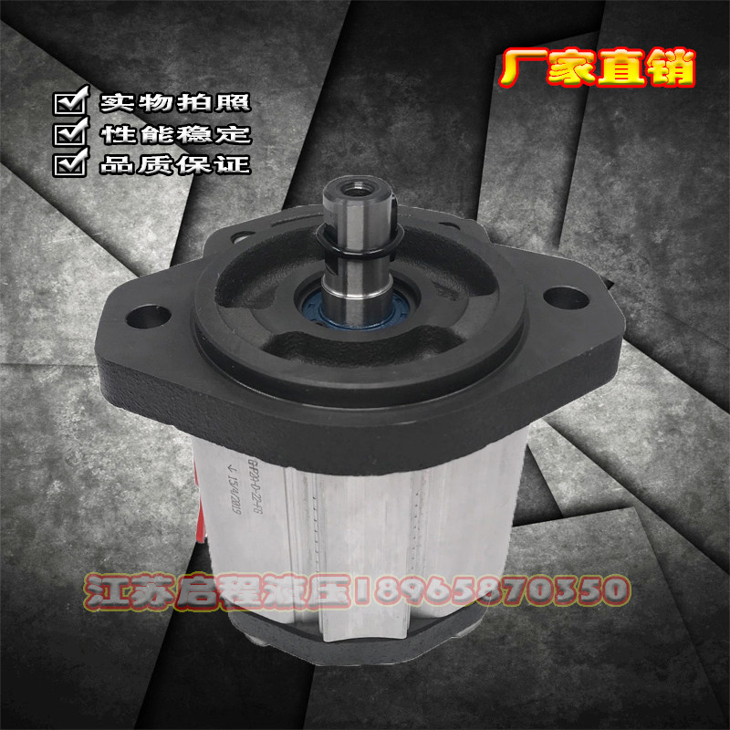 马祖奇低噪音齿轮泵意大