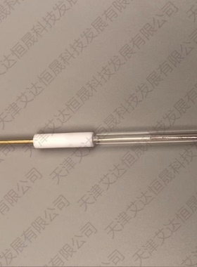 天津艾达恒晟 氯化银参比电极 R0302 4mm Ag/AgCl R electrode