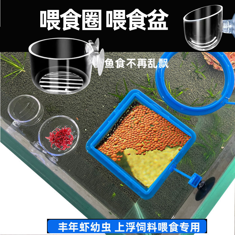 喂食圈鱼粮投食圈鱼食红虫杯血虫杯喂食器水族箱配件鱼缸喂食盆