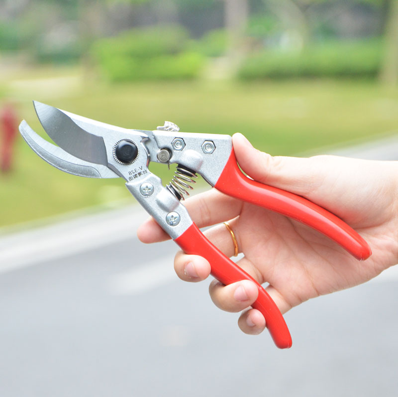 岡弘修剪树枝剪园林果枝剪刀花剪园艺粗枝剪果树植物修枝修花剪