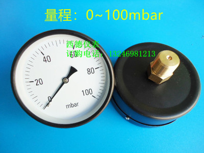 100MM轴向0－100MBAR压力表，0－100毫巴压力表，螺牙1/2