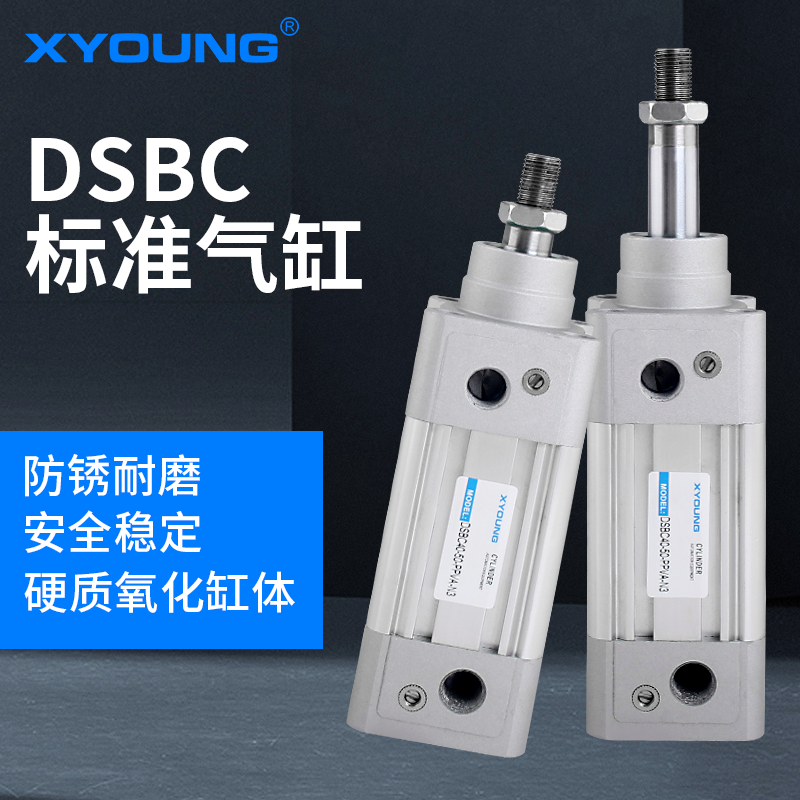 DSBC40-100标准气缸DSBC40-75-PPV-A-N3带磁标准气缸DSBC40-50