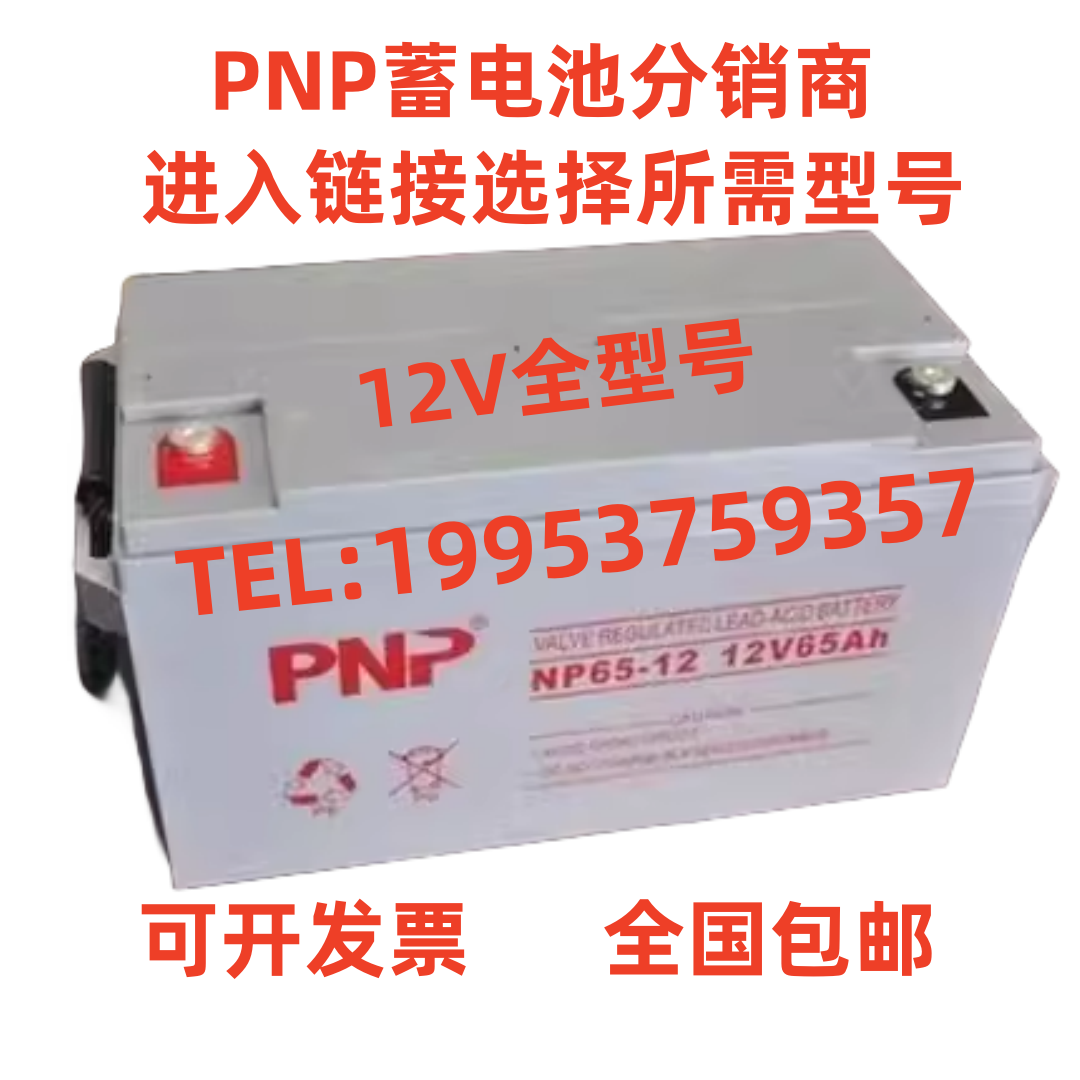 PNP蓄电池NP12-65 12V7AH12AH17AH24AH38AH65AH100AH120AH直流屏