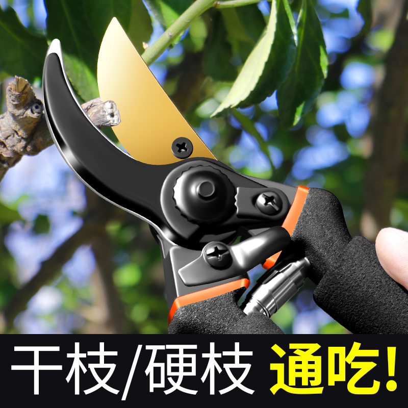 剪树枝专用剪刀果树修枝剪花剪园艺剪刀粗枝花艺家用园林剪刀工具