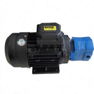包邮 B40JZ B100JZ摆线齿轮油泵三相异步电动机0.37 B80JZ 新款