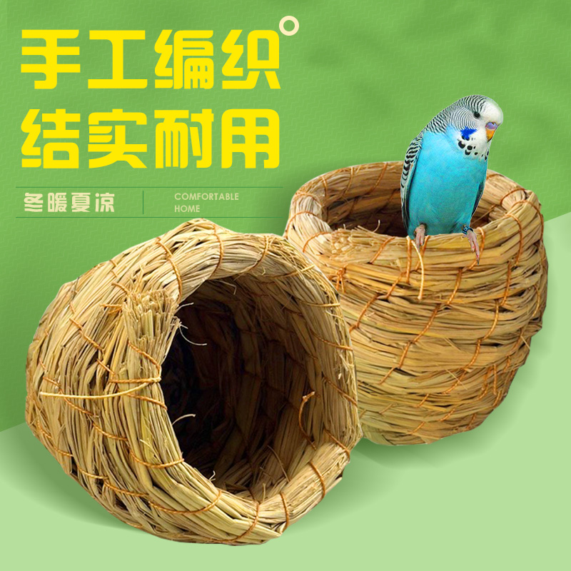 草编鸟窝玄凤牡丹虎皮鹦