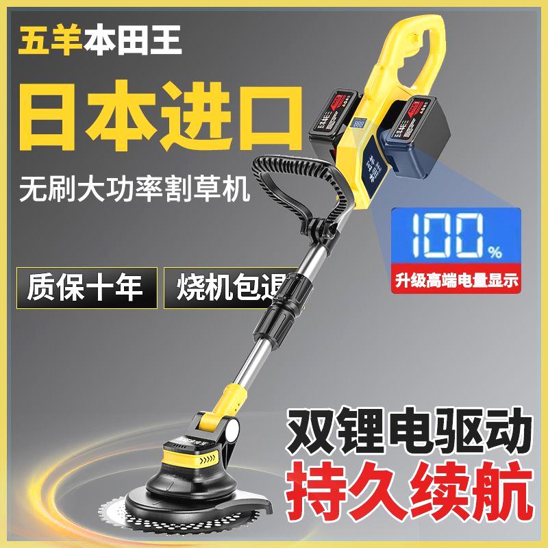 电动割草机锂池除充式大