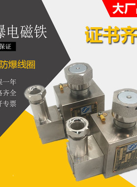 防爆电磁阀电磁铁DTBF-37FYC 75FYC DTBZ4-90FYC DTBZ12-90FY线圈