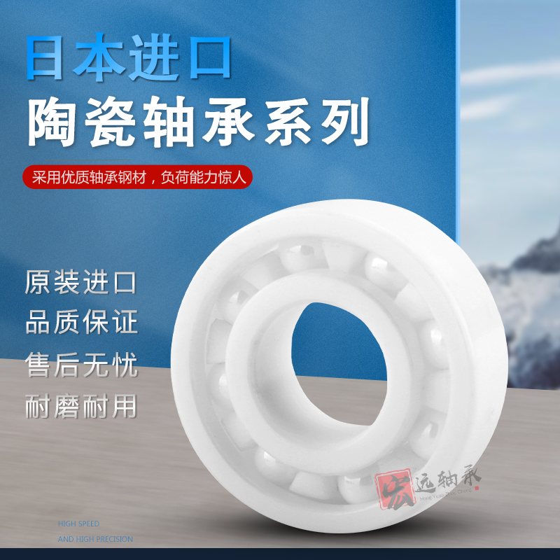 NSK氧化锆全陶瓷轴承 608 6000 6001 6002 6003 6004 6005 6006CE
