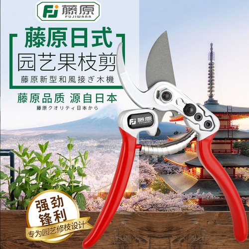 藤原园艺剪林果枝花修树