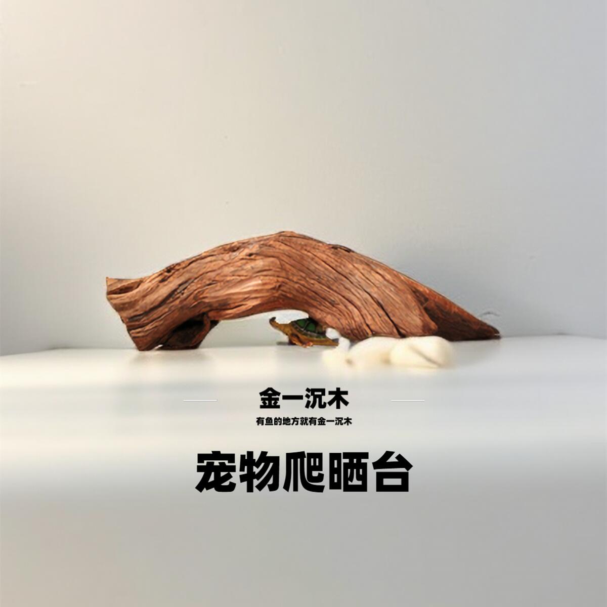 宠物爬晒台雷龙异形躲避