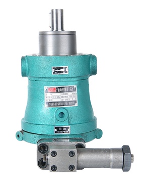 新款10PCY25PCY40PCY63PCY80PCY100PCY160PCY250PCY14-1B轴向包邮