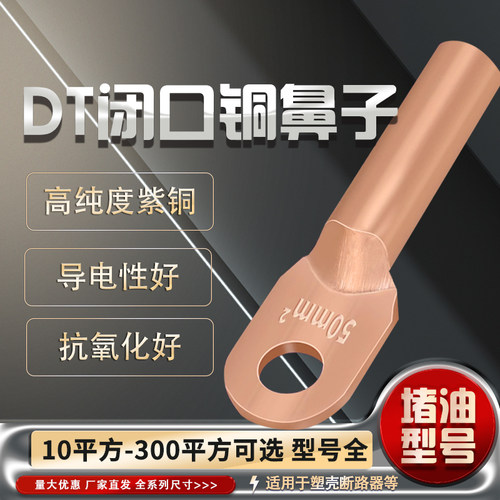 DT 10162535507090120铜线鼻子电线铜线耳铜接线端子接线