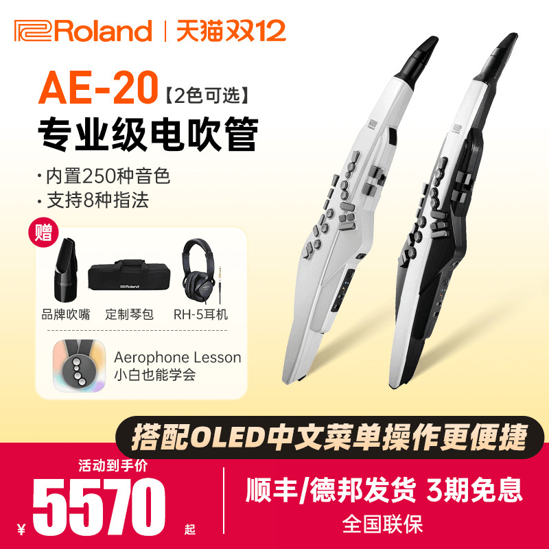 罗兰电吹管AE20/30中老年初学者