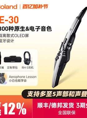 Roland罗兰AE30电吹管乐器中老年人娱乐初学专业电子萨克斯葫芦丝