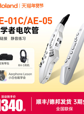 Roland罗兰电吹管AE-01/01C/05C中老年人初学者萨克斯乐器葫芦丝