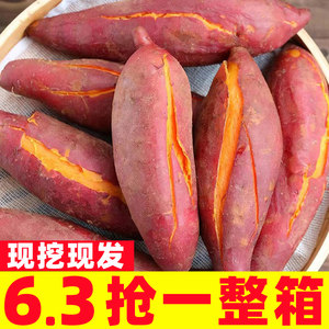 广西西瓜红蜜薯新鲜10斤板栗红薯农家自种红心地瓜糖心烤番薯蔬菜