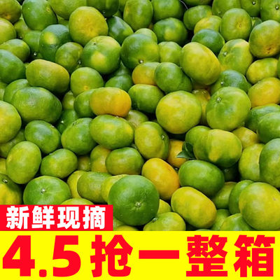 橘子云南蜜橘9斤当季孕妇水果蜜桔新鲜桔子青皮柑橘小绿皮整箱10