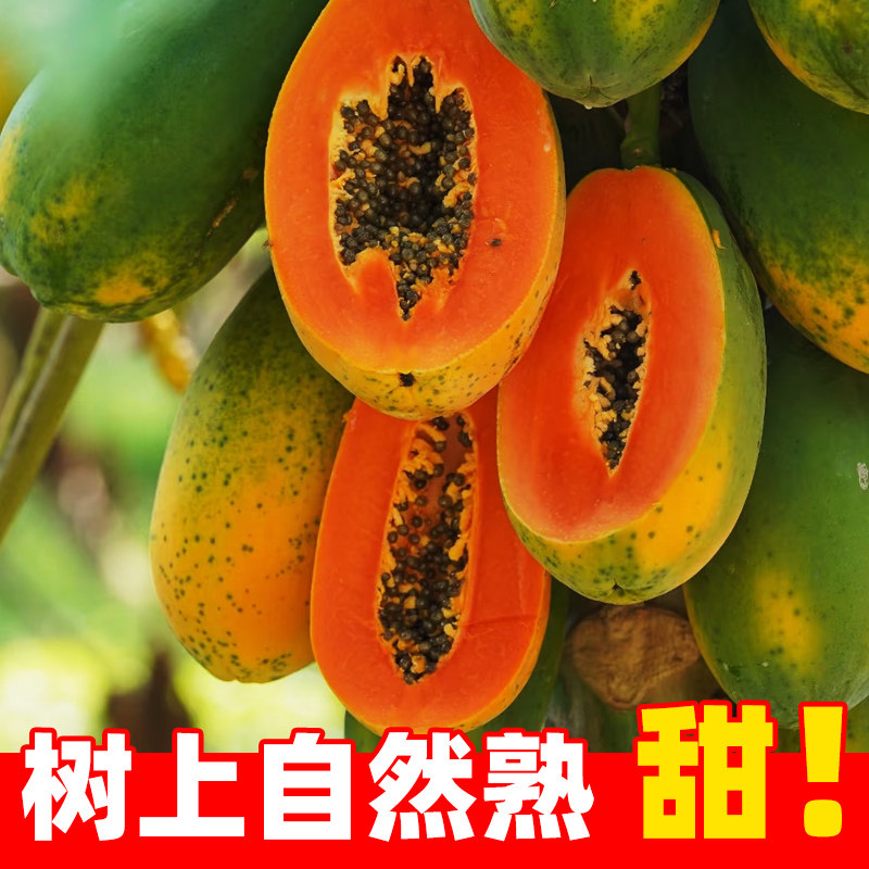 海南冰糖红心木瓜新鲜10斤孕妇水果整箱包邮当季青皮牛奶木瓜下奶