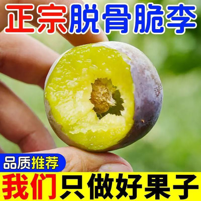 脱骨李子5斤正宗四川半边红茵红脆李农家自种应季时令新鲜水果