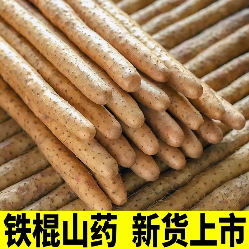 正宗铁棍山药小白嘴官方旗舰店5斤新鲜淮山药软糯香甜宝宝辅食10