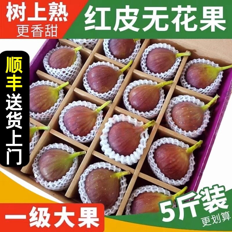 顺丰 新鲜红皮无花果5斤孕妇水果应当季大果青红皮鲜果整箱非威海