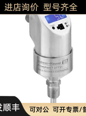 议价E+H恩德斯豪斯 流量开关 DTT31-A2A111AB2AAA