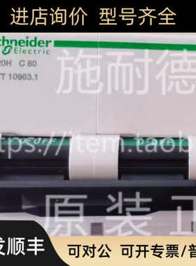 议价C120H 2P D125A A9N19829微型断路器