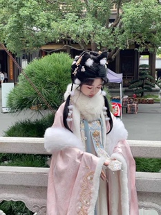 新款【小郡主】改良汉服秋冬加绒唐制汉服加绒毛边外大袖衫齐胸裙