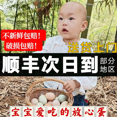 九云仙产地严选跑山土鸡蛋正宗新鲜农家散养草鸡蛋宝宝老人孕妇蛋