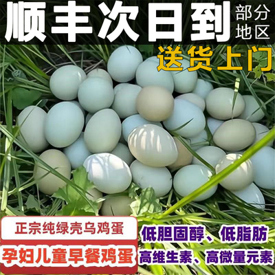九华山林散养健康营养绿壳乌鸡蛋