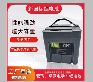 天能星恒同款 48V15AH20AH绿源爱玛雅迪台铃电动车锂电池新国标