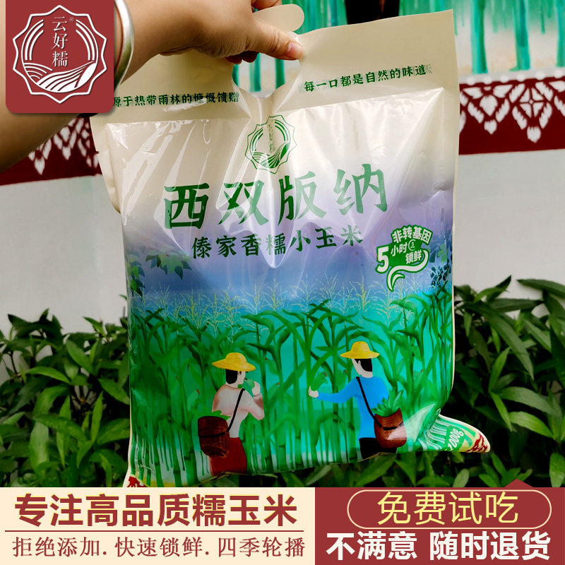 精选云好糯高品质版纳花糯小玉米