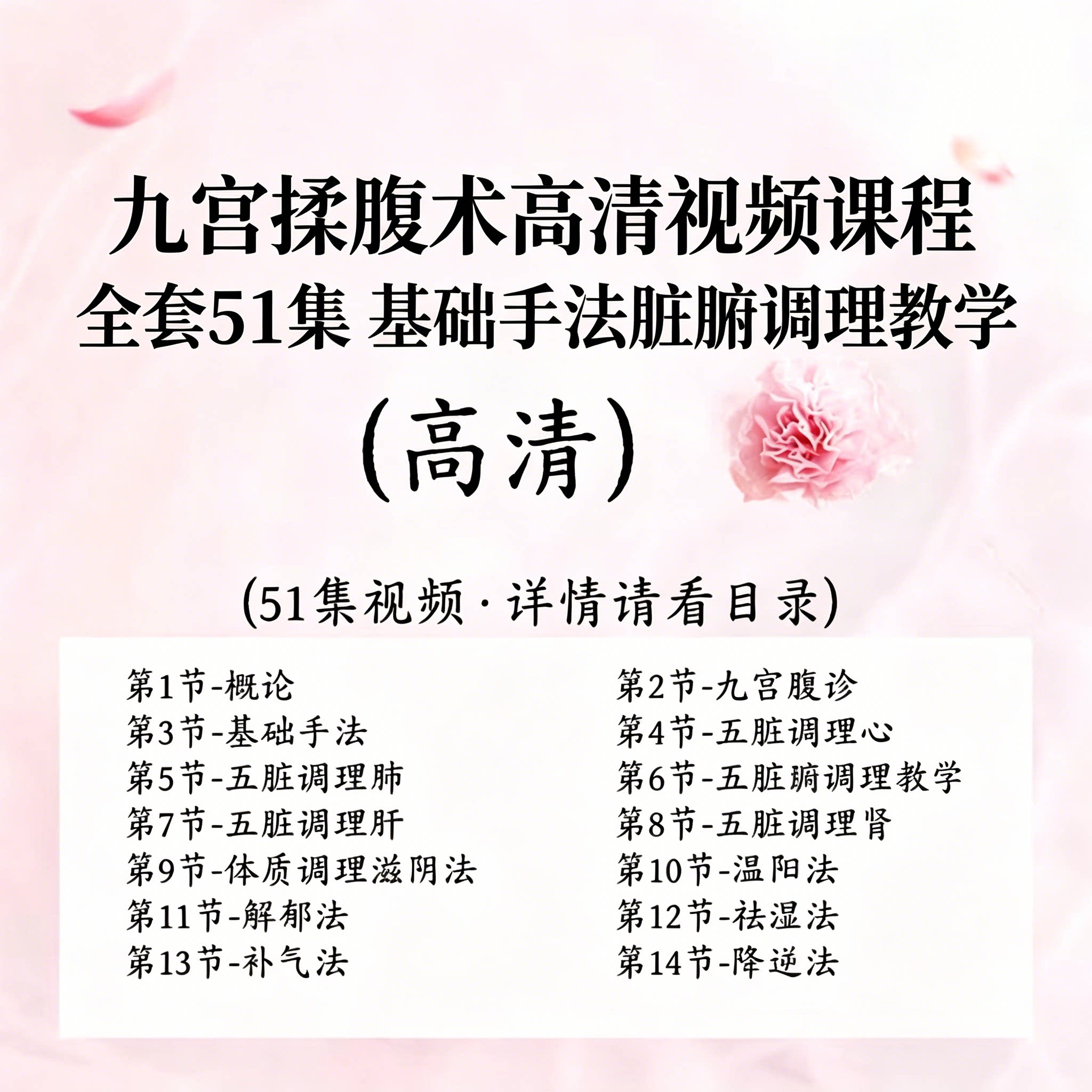 九宫揉腹术51集高清视频课程基础手法详解中医脏腑调理养生课