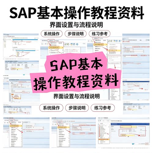零基础SAP系统操作入门教程界面设置流程讲解自学参考资料