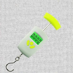 Baggage Scale 50kg Portable Balance Weighing Suitcase P