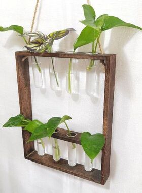 Hanging Glass Vase 8 Test Tubes Wood Holder Decorative for
