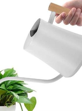 Watering Pot Conical Stainless Plant Watering Devices Wide