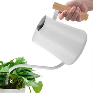 Watering Pot Conical Stainless Plant Watering Devices Wide