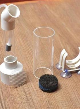 40mm Aquarium Cichlids Hatchery Eggs Instead Mouth Brooding