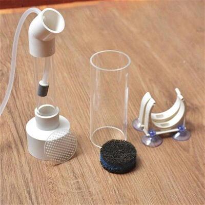 40mm Aquarium Cichlids Hatchery Eggs Instead Mouth Brooding