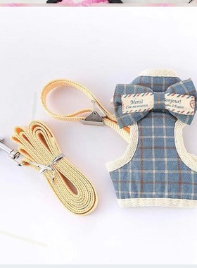 Puppy dog lead rope teacup dog Chihuahua puppy dog walking