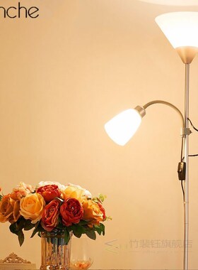 Modern Nordic Design 2 Lights Night Floor Lamp Stand Light L