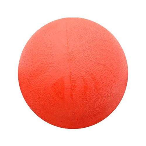 High Bounce Soft Cleaning Teeth Pet Training Chase Fetch